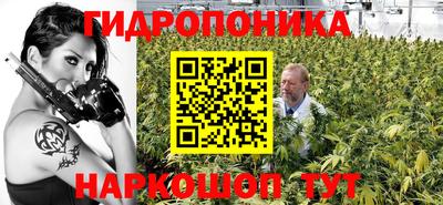 сатива Новодвинск