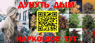 mdpv Новокубанск