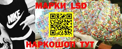 сатива Новодвинск