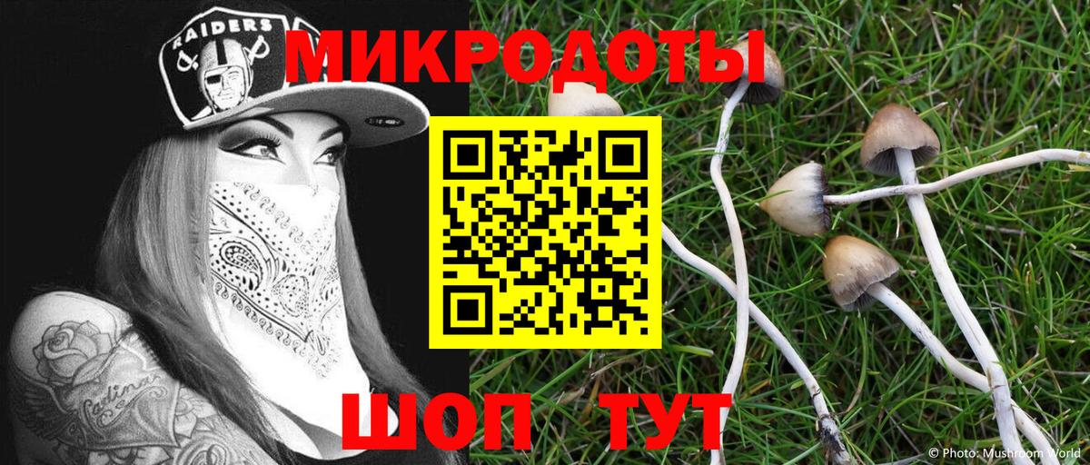 Анапа  Псилоцибиновые грибы Psilocybe  как найти закладки  Вход с VPN 