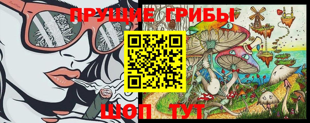 Псилоцибиновые грибы Cubensis Анапа